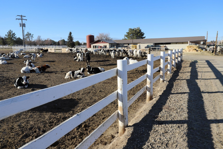 Dairies for Sale in Idaho Dairies for Sale in Idaho Dairies for Sale in Idaho