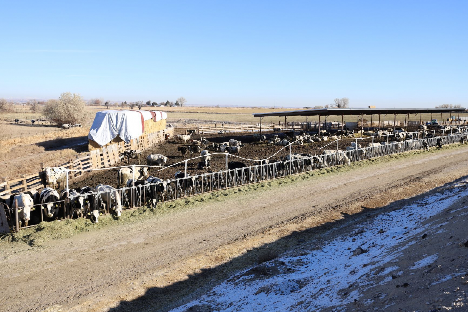 Dairies for sale in Idaho